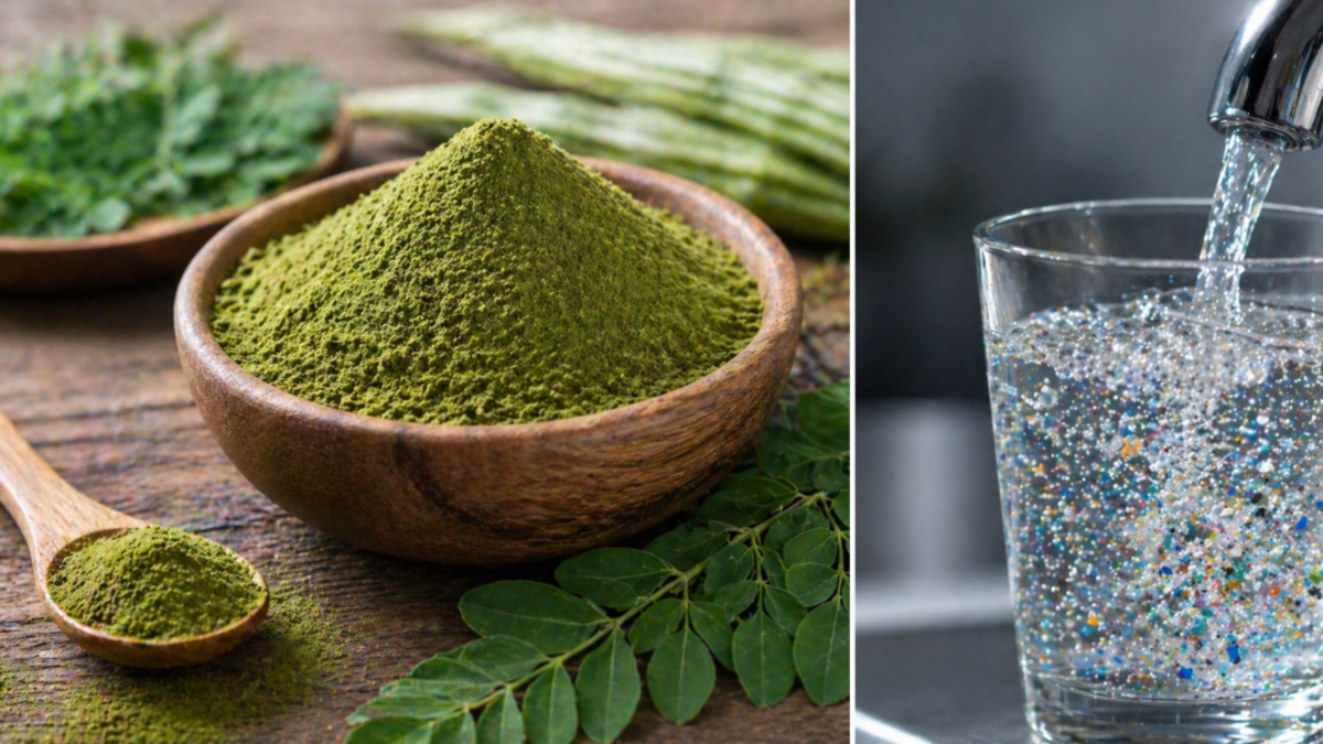 Este es el ‘árbol milagroso’ que elimina casi el 98 % de los microplásticos del agua del grifo: sus semillas actuarían como filtro natural