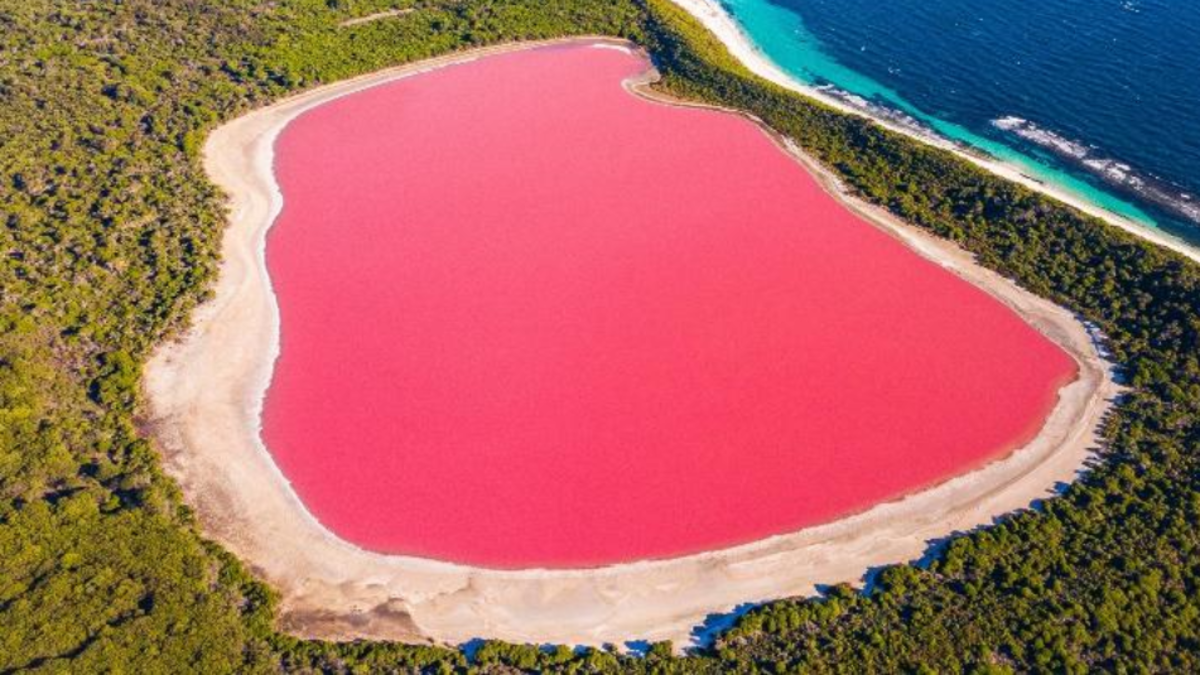 Este es el impresionante lago rosa de 600 metros situado en la isla Middle: cómo se llama y a qué se debe su color