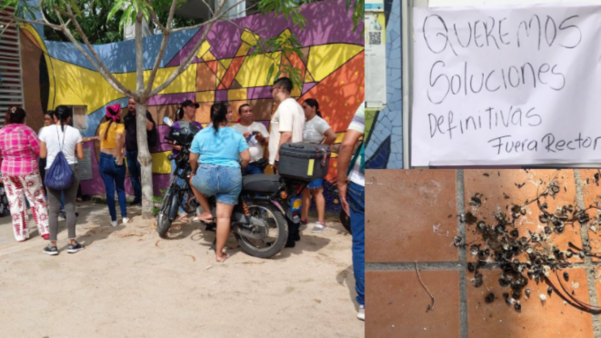 Padres de familia protestan en colegio de Polonuevo (Atlántico) por presencia de nidos, crías y excremento de murciélagos al interior del plantel
