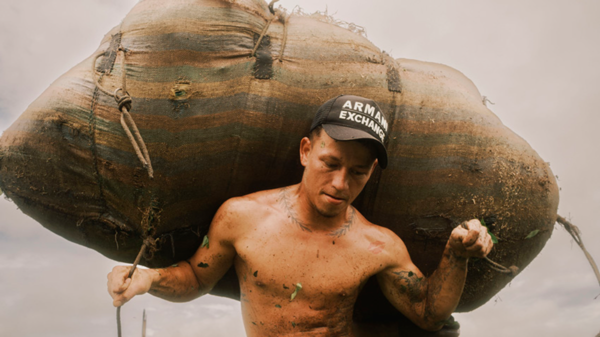 Santiago Mesa gana en los Sony World Photography Awards 2026: la historia de la coca que pone a Colombia en la escena global