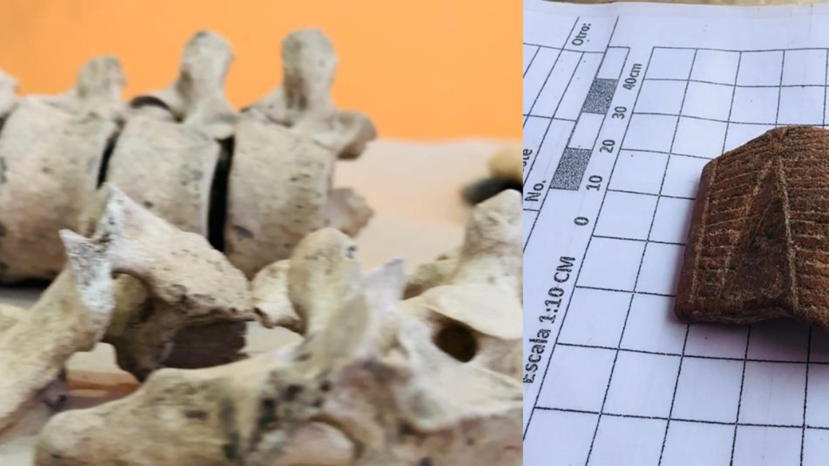 Fotos | Encuentran más de 360 mil fragmentos arqueológicos y restos óseos en obras de ampliación del aeropuerto Golfo de Morrosquillo