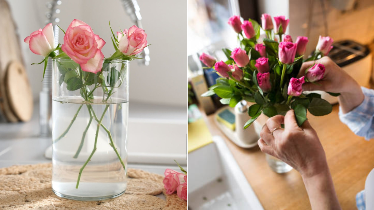 ¿Cómo hacer que las rosas duren más de una semana en casa? Claves para evitar que se marchiten rápido
