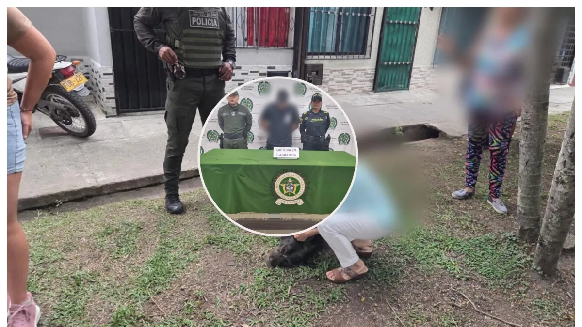 Indignación por brutal asesinato de 'Bruno', un canino que habría sido golpeado por un hombre de 32 años: autoridades piden aplicar la Ley Ángel
