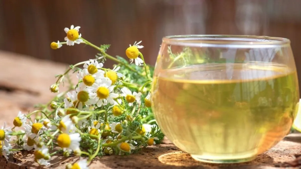 5 beneficios de la infusión de manzanilla para la salud del hígado y la digestión