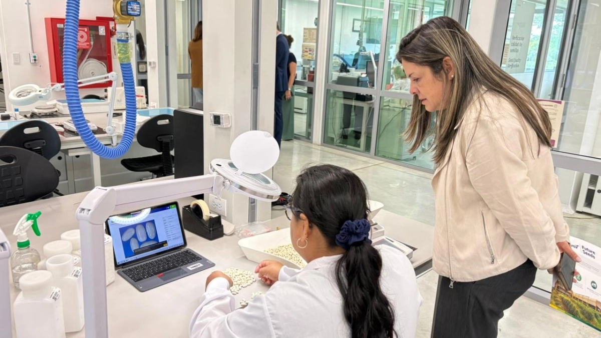 Con inteligencia artificial quieren predecir brotes de dengue en Cali: así funciona un software con datos de áreas de 2,2 millones de personas