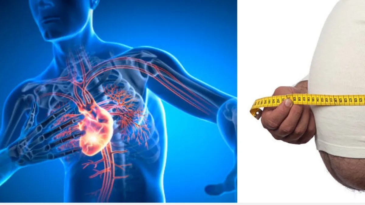 No solo un infarto: tener barriga voluminosa aumenta el deterioro cerebral, dice estudio