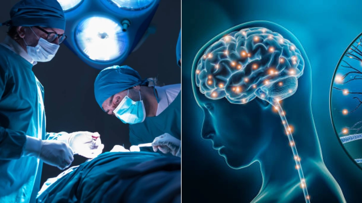¿Su cerebro sigue procesando el mundo mientras está anestesiado? Estudio revela que el hipocampo humano anticipa lenguaje bajo anestesia general