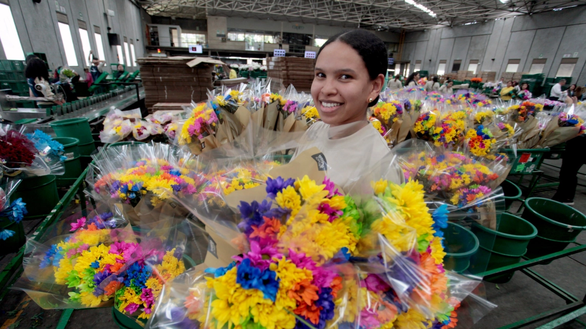 Regalos, proyecciones y medidas de seguridad: todo lo que debe saber para la celebración del Día de la Madre en Medellín