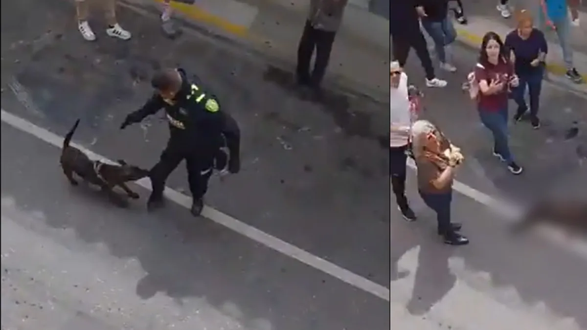 En video | Indignación en Antioquia por policía que asesinó de un disparo a un perro en medio de un procedimiento en vía pública de Rionegro