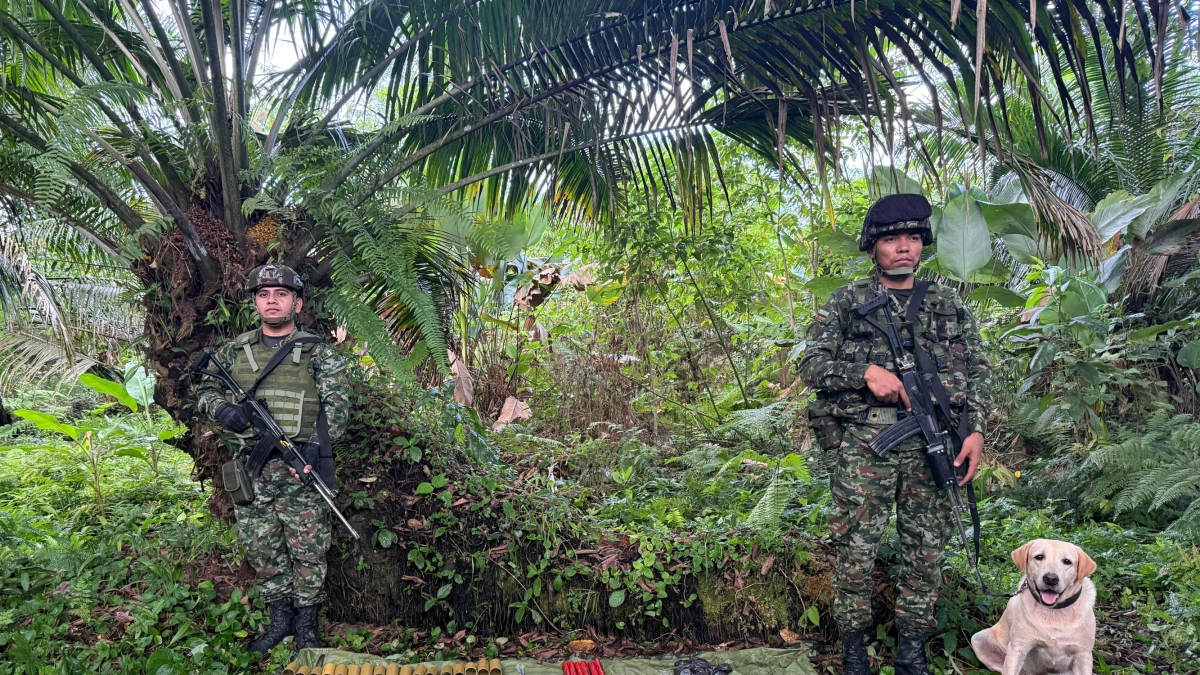 Descubren el más grande depósito de minas antipersona y explosivos en Nariño: tenía más de 200 dispositivos de disidentes que dialogan con el Gobierno