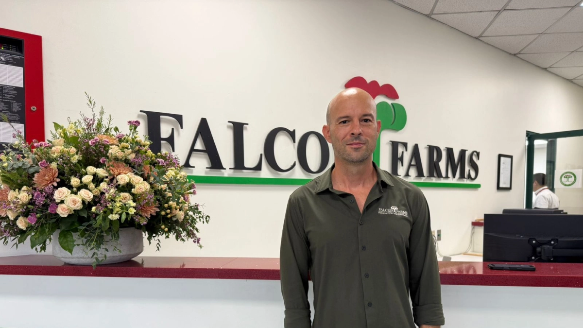 “El aumento del salario mínimo nos incrementó el costo de la flor cerca de 13 %”: Falcon Farms