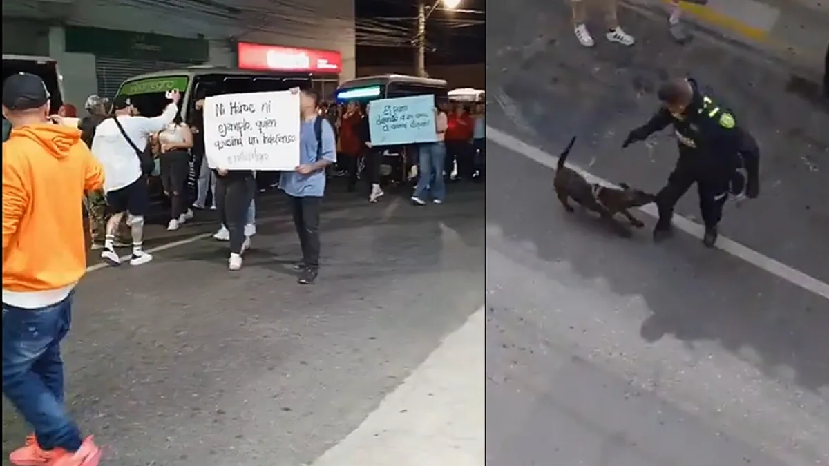 Justicia por 'Tigre': en Rionegro realizaron una velatón y una protesta tras la muerte de un perro a manos de la Policía