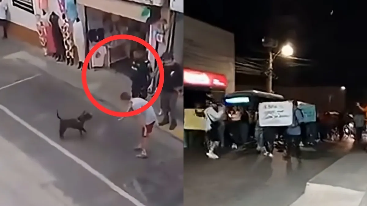 ¿Cuál es la pena que enfrentaría el policía que mató de un disparo a perro en Rionegro, Antioquia? Esto es lo que dice la 'Ley Ángel' sobre el caso
