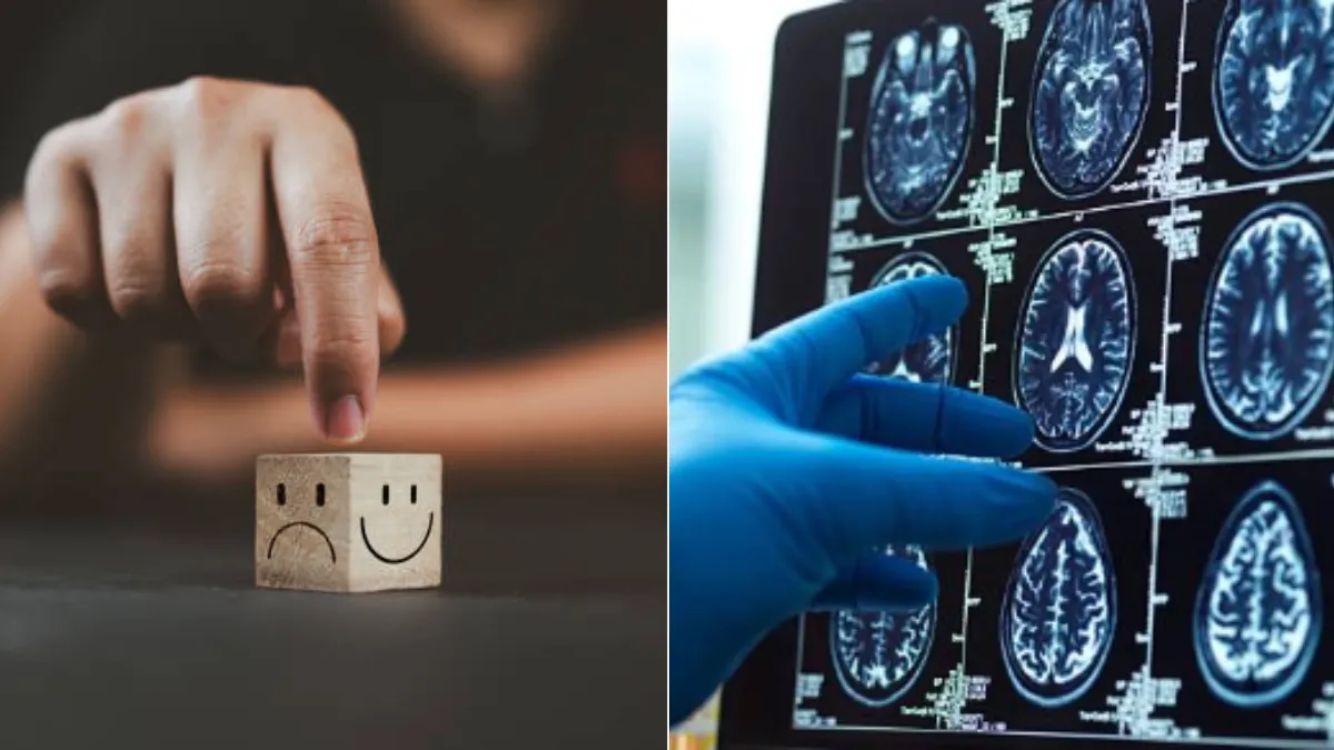 Un estudio revela cómo el cerebro decide entre el miedo a perder y la posibilidad de ganar: algunas personas minimizan más las pérdidas que otras