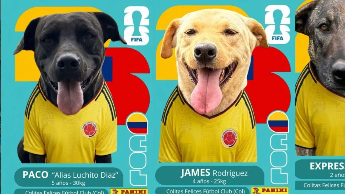 Fundación lanza álbum tipo Panini del Mundial con perritos rescatados que buscan una segunda oportunidad: ‘Estas láminas nunca las verás repetidas’