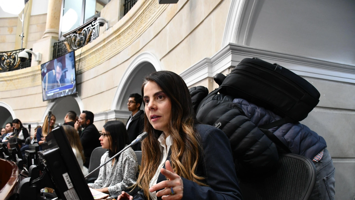 ‘Hay una cadena de errores en la que finalmente el responsable es el Gobierno Nacional’: Esmeralda Hernández sobre error en trámite del presupuesto