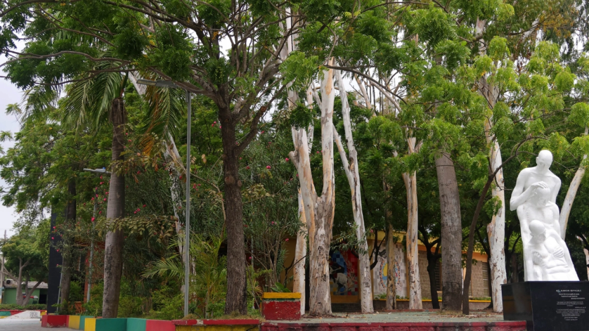 Rebolo encontró frescura en medio de la ola de calor: un parque levantado sobre pantanos hoy desafía las altas temperaturas en Barranquilla