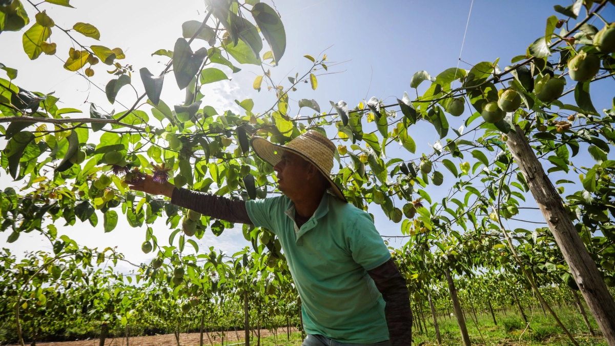 El camino incompleto del crecimiento económico de América Latina