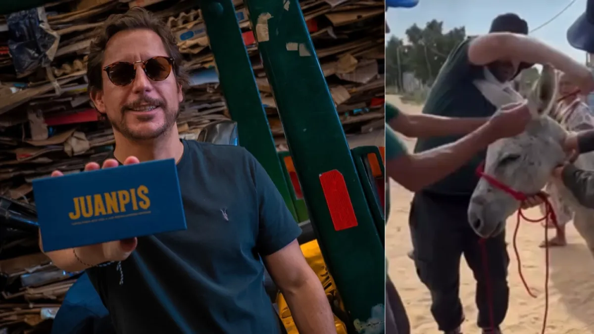 Alejandro Riaño adopta a Ismael Rivera y convierte su historia en un llamado por los burros olvidados de La Guajira: 'Aquí empieza tu nueva vida. '