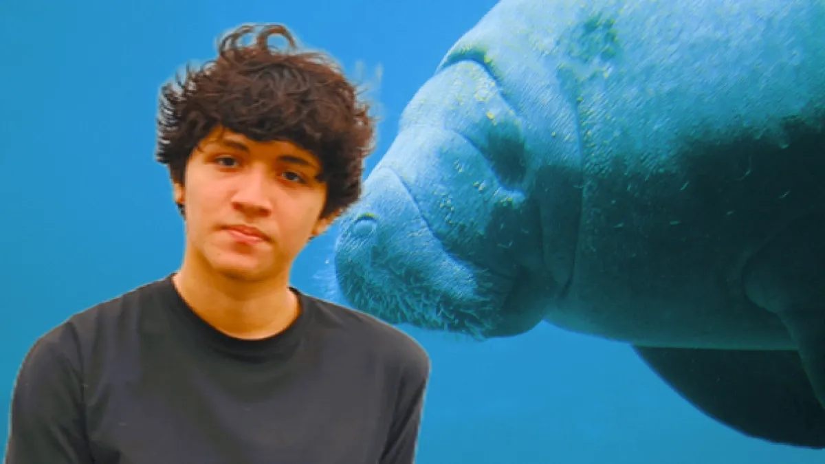Este es Brandon, el joven barranquillero que quiere salvar a los manatíes con inteligencia artificial y ganó un premio de National Geographic