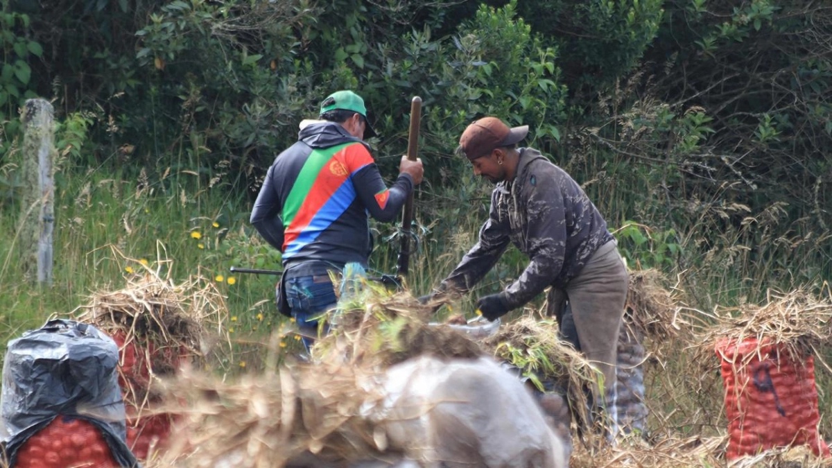 Gobierno habilitó más de $ 20.900 millones para que los prod