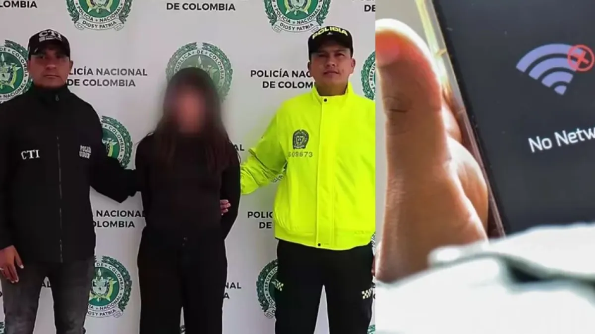 Joven que habría asesinado a su mamá por no dejarl