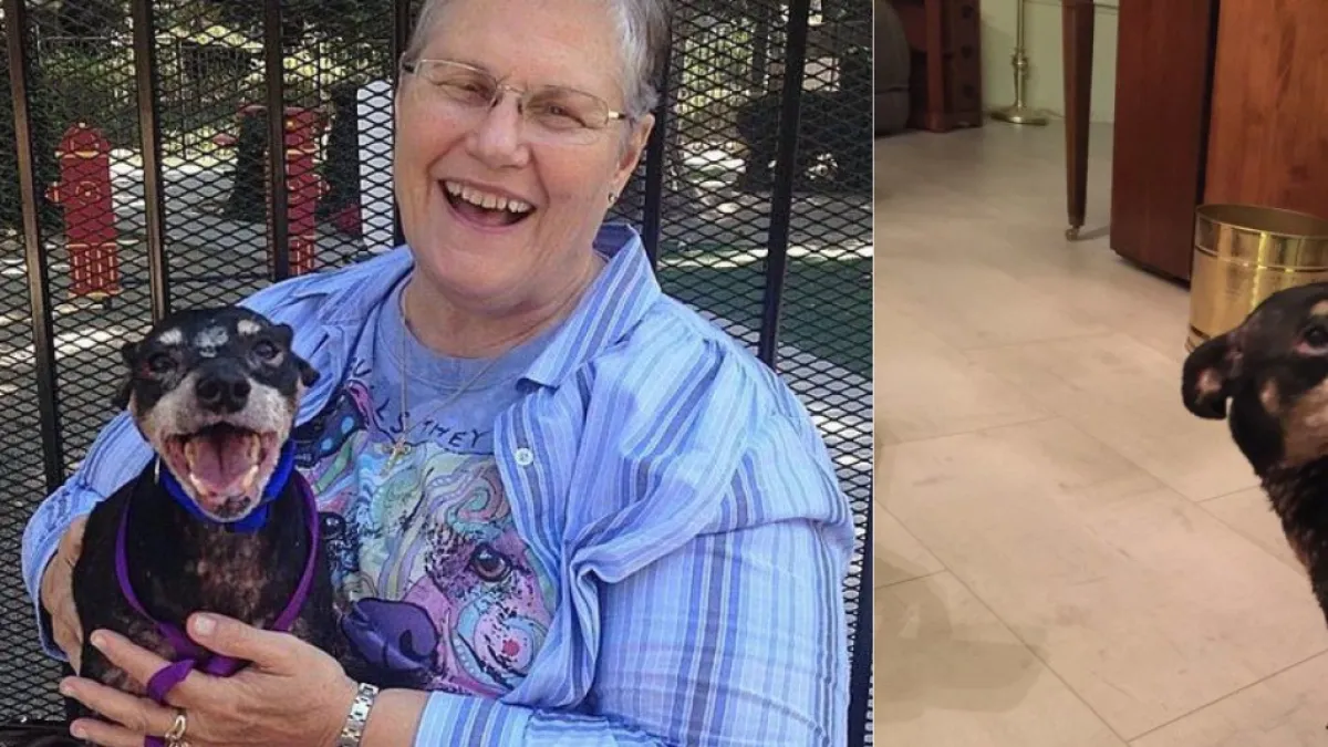 Pidió conocer al perro con menos posibilidades de ser adoptado y le regaló el hogar que nadie quiso darle: 'Sus últimos días más felices'