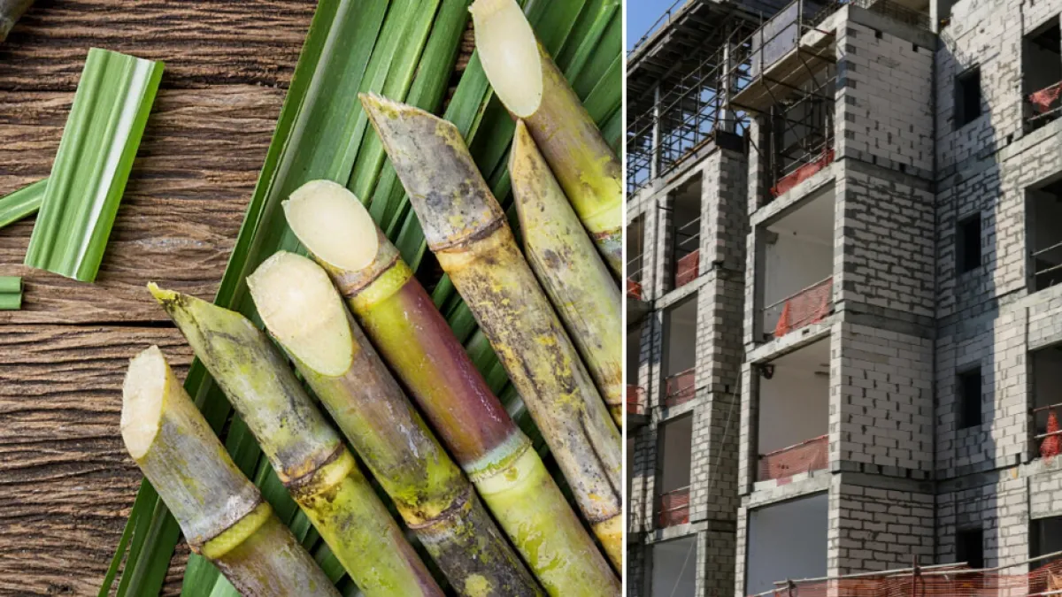 Crean ladrillos de construcción con caña de azúcar y residuos de cerveza: el invento colombiano sustentable que despierta interés en el mundo