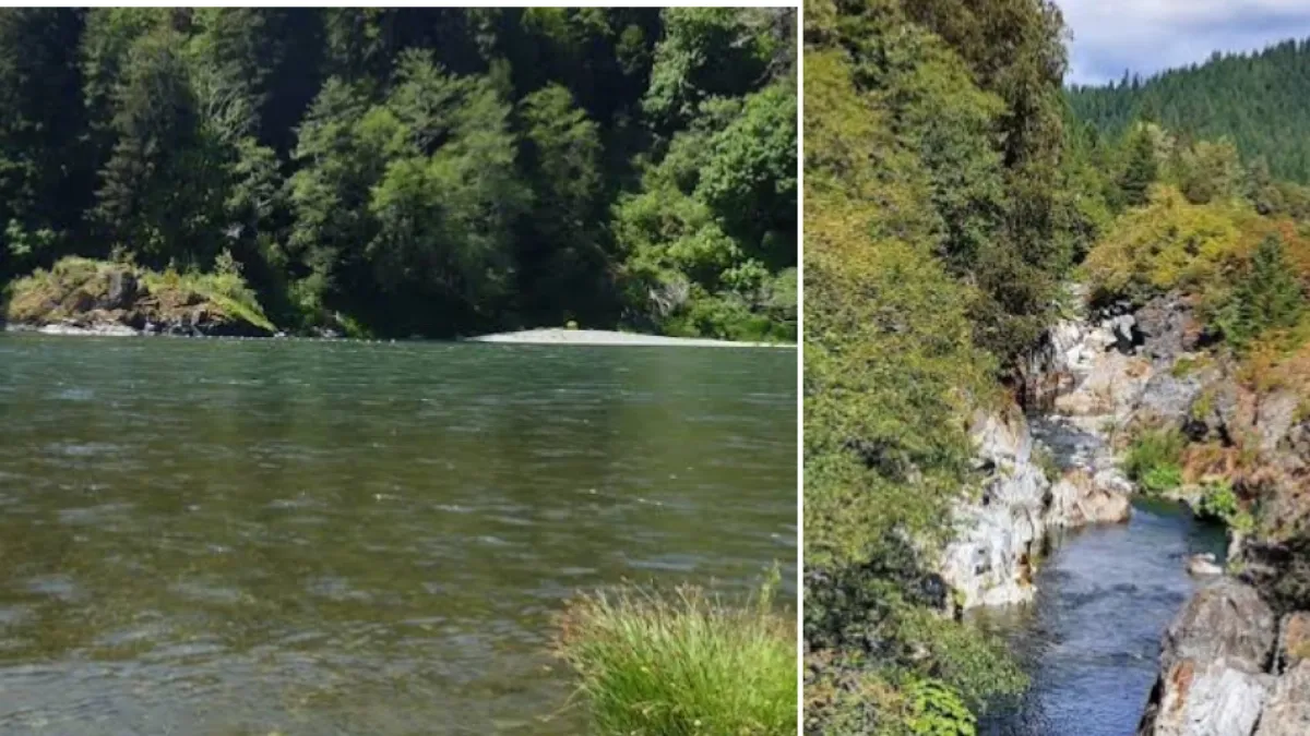 El río que permaneció 'muerto' durante más de 100 años volvió a correr y lo que ocurrió después sorprendió a los científicos