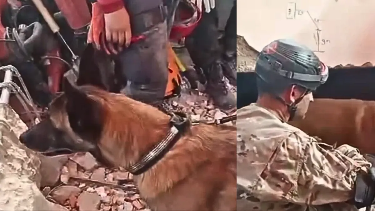 Perro de la unidad de rescate de la Infantería de Marina de Argentina halló y rescató a dos menores con vida tras los terremotos en Venezuela