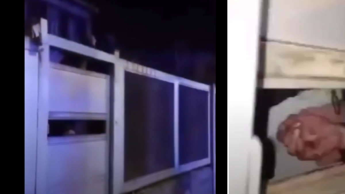 Video | Hombre intentó robar una casa, quedó atrapado en la reja por una púa de seguridad y tuvieron que rescatarlo los Bomberos