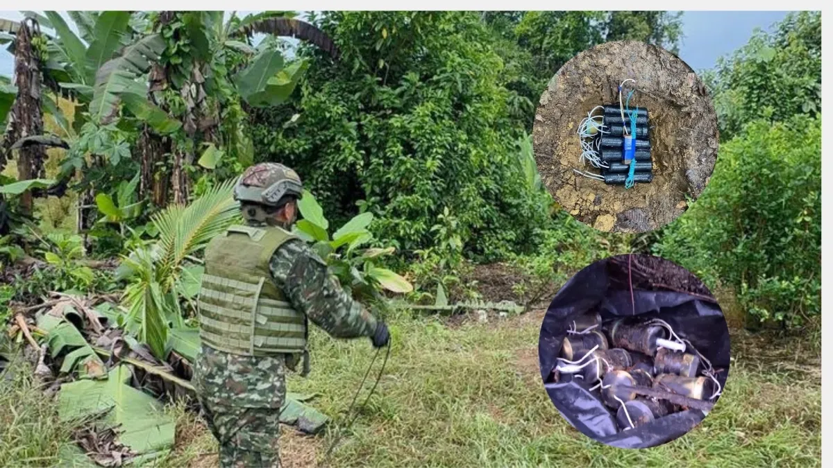 Colombian Army Destroys Over 400 Explosives in Nariño, Preventing Attacks