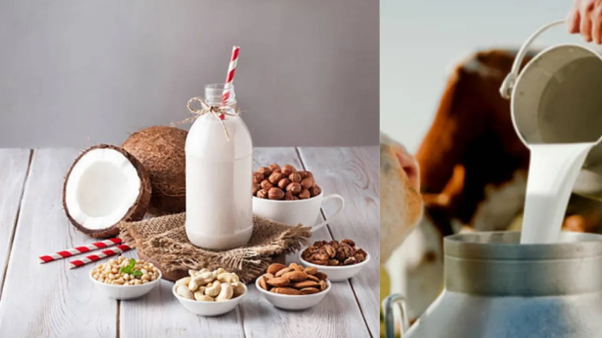 Leches vegetales vs. leche de vaca: los estudios confirman qué bebida tiene menos proteínas y más azúcar