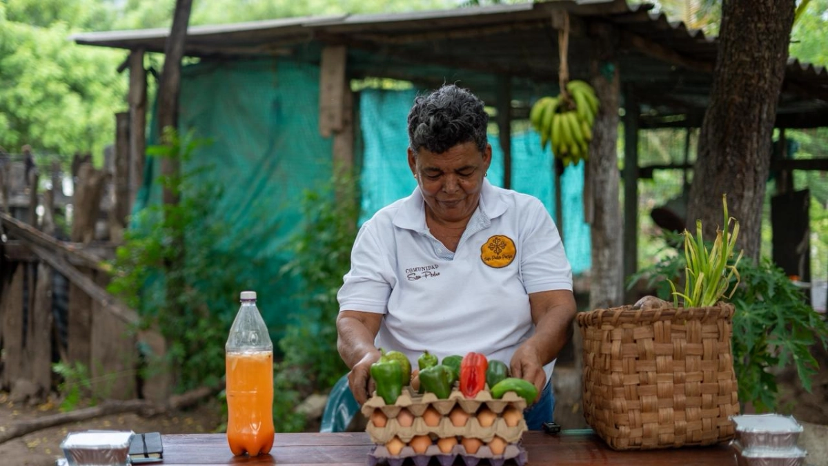 Colombia exportó más de 15.000 millones de dólares en productos agropecuarios, pero la inseguridad alimentaria rural sigue por encima de la urbana