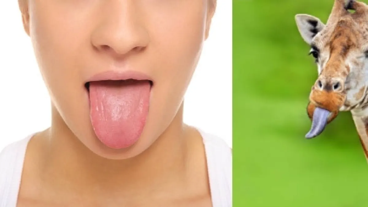 ¿Cómo la lengua permitió que los animales salieran del mar y conquistaran la tierra?