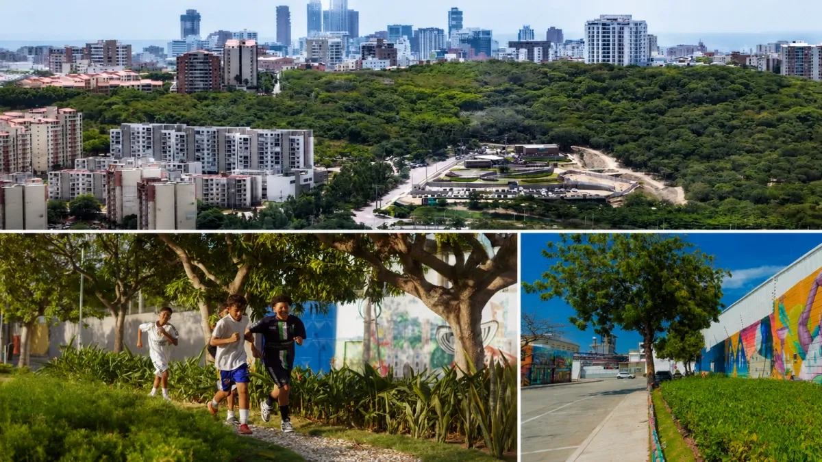ONU reconoce a Barranquilla como ciudad modelo en restauración ecológica: estos son los proyectos que pusieron sus ojos en la ciudad