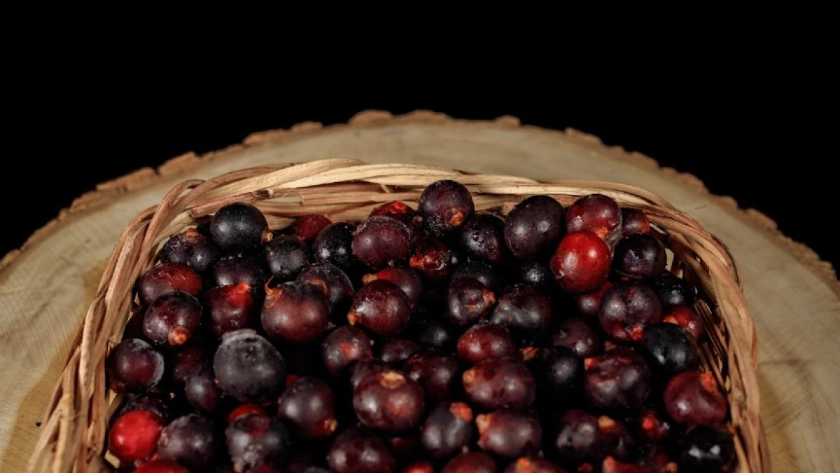 La gulupa del Caribe colombiano gana protección oficial ante el boom gourmet