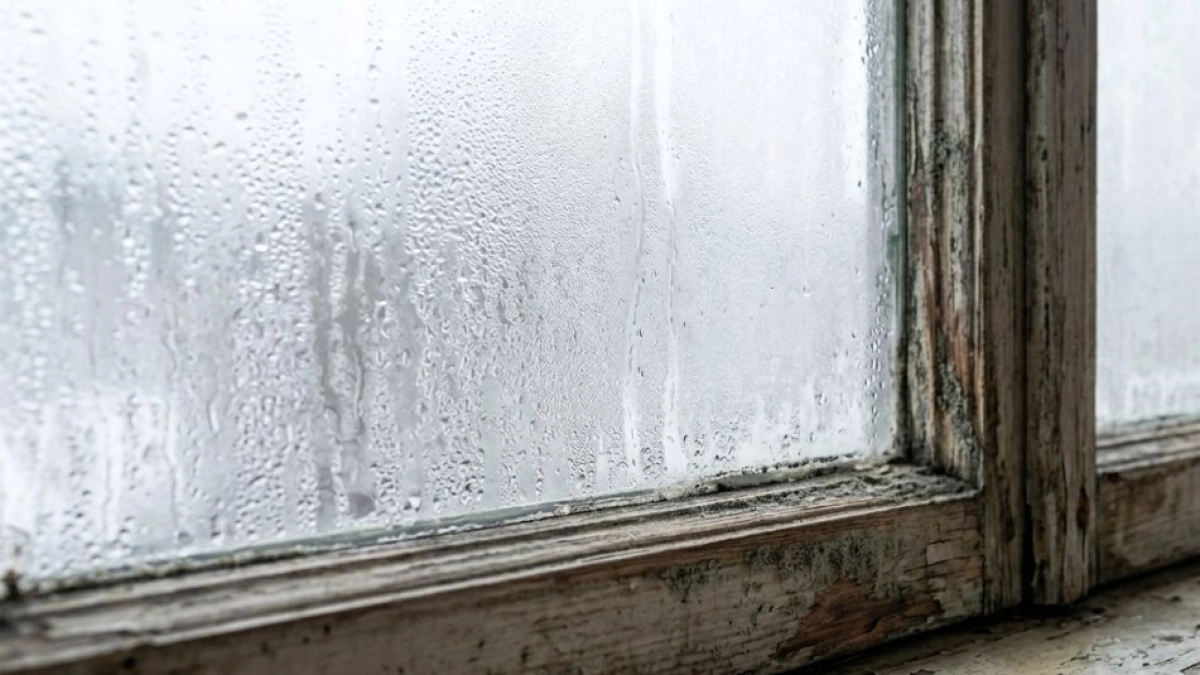 ¿Cómo evitar la condensación y el moho en las ventanas? El truco casero que ayuda a prevenirlos