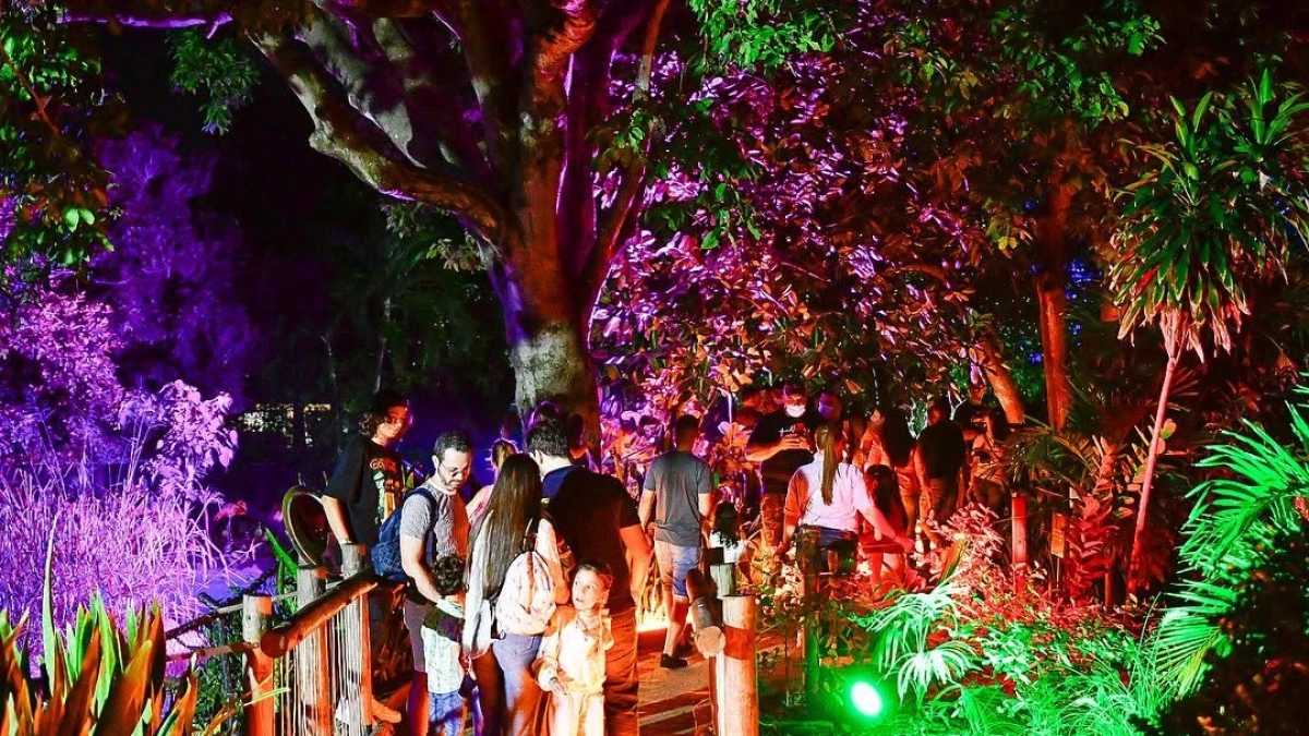 Safari Nocturno regresa al Zoológico de Barranquilla con recorridos bajo las estrellas, astronomía y experiencias sobre fauna silvestre