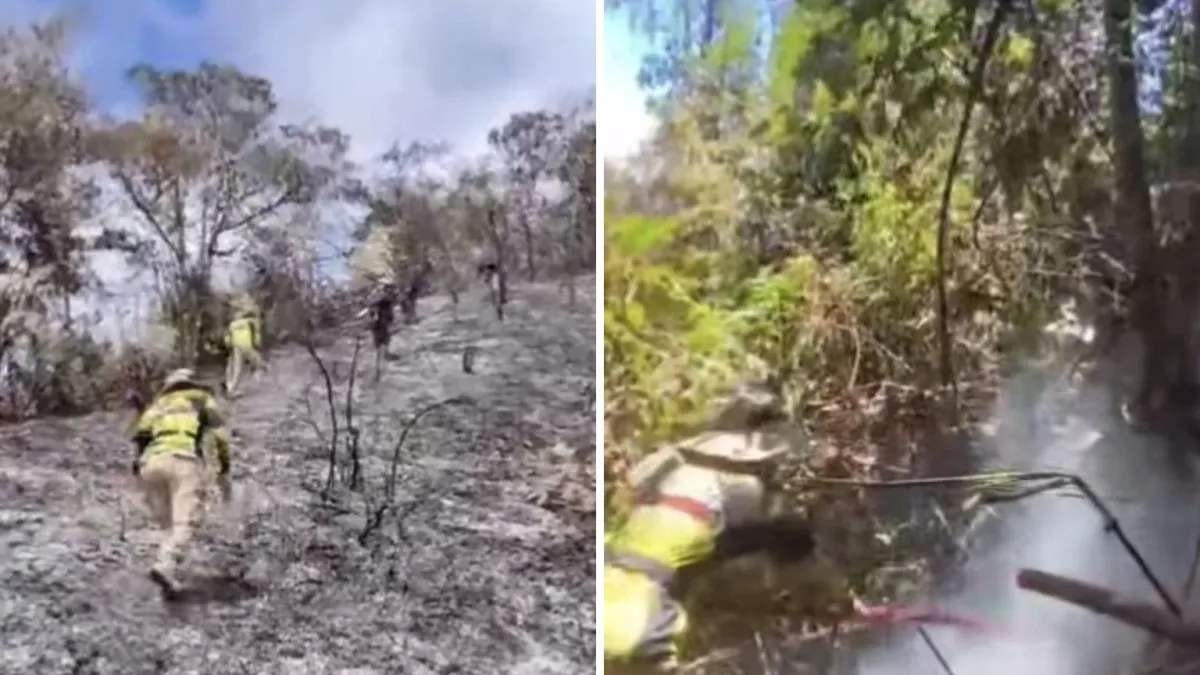 El infierno que aún se vive en 400 hectáreas entre los municipios de Cumbitara y Los Andes, en el noroccidente de Nariño: seis días de voraz incendio