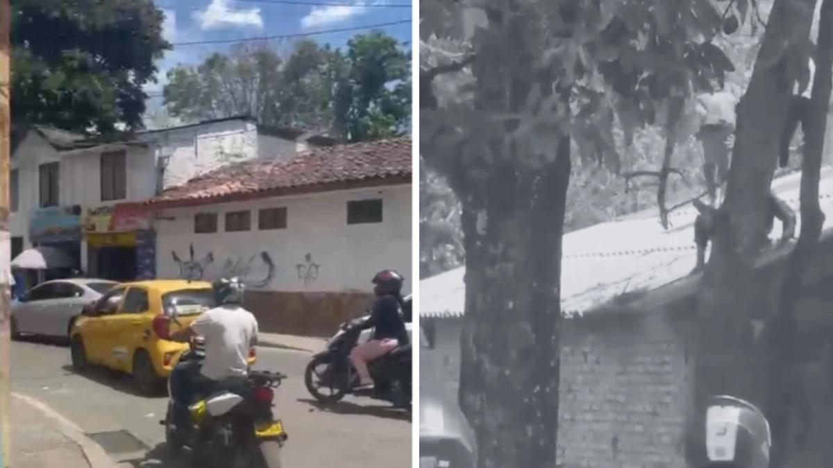 Atención: fuga de presos de cárcel de Popayán quedó en videos; se escaparon por el techo y hubo disparos
