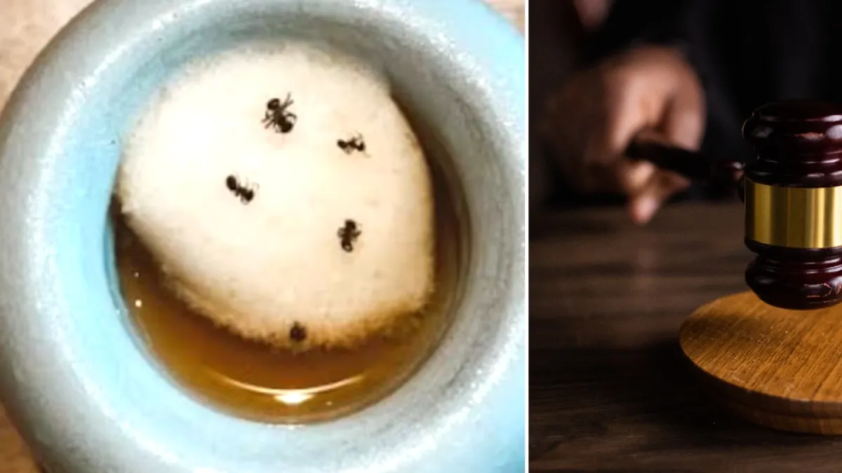 Restaurante con dos estrellas Michelin enfrenta un escándalo por servir un postre con hormigas: la ley surcoreana solo permite diez insectos