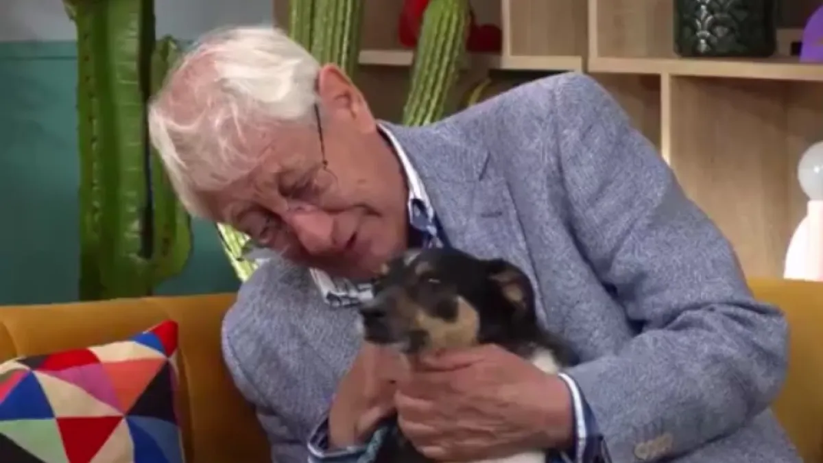‘Quiero encontrar una familia que cuide a mi perrito porque yo ya no puedo’: abuelo conmueve las redes con su emotiva despedida