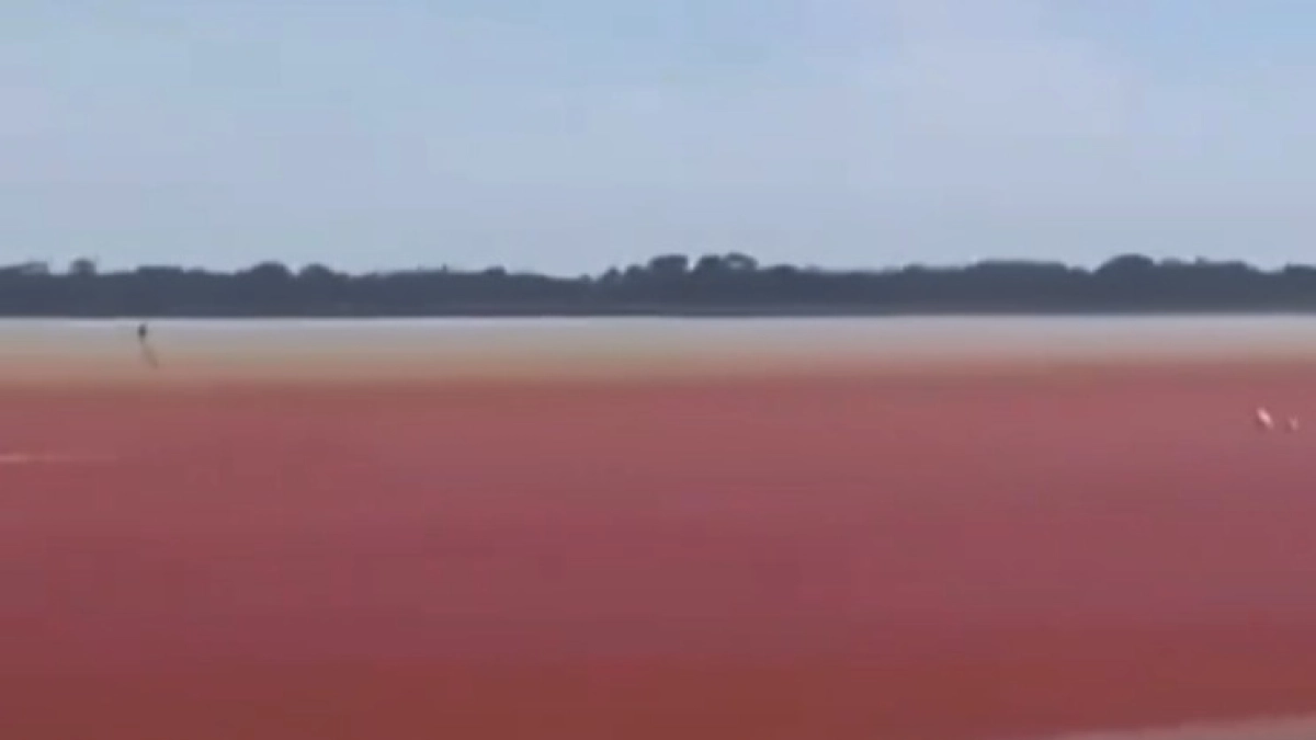 Impresionante | Ciénaga de El Llanito, en Barrancabermeja, se puso de tono rojo: expertos aseguran que es la grave contaminación y fenómeno de El Niño