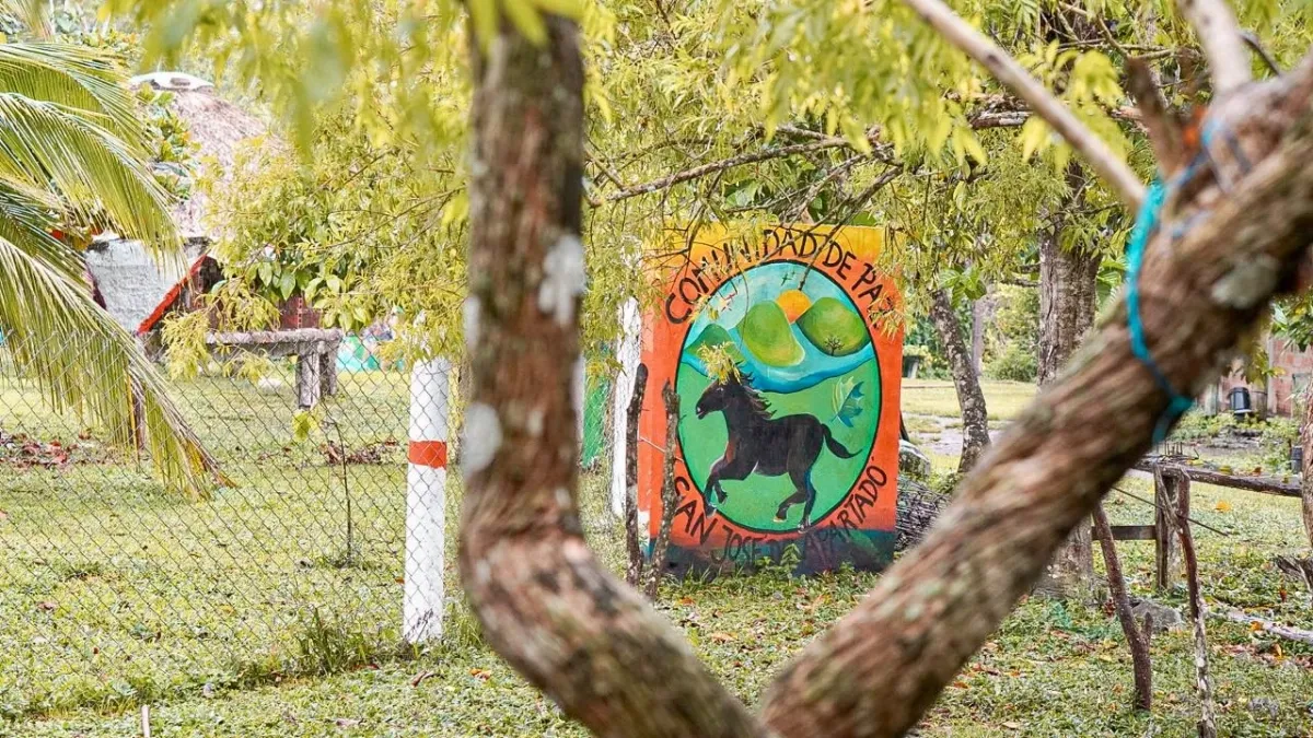 Colombia le titula 21 predios a la Comunidad de Paz de San José de Apartadó y cumple su promesa ante la justicia internacional