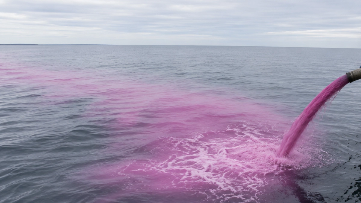 ¿Lejía contra el cambio climático? Científicos vertieron 16.500 galones en el Golfo de Maine para probar una tecnología inédita
