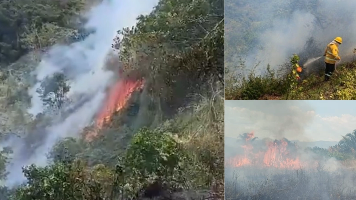 Gobernador de Cundinamarca, Jorge Emilio Rey, reporta que siete incendios forestales son atendidos en cinco municipios del departamento