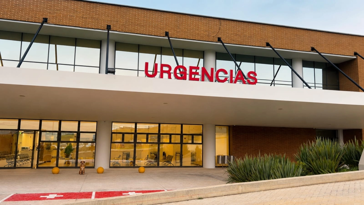 En solo dos meses, la Línea 137 evitó que miles de bogotanos acudieran innecesariamente a urgencias