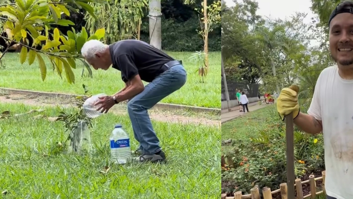 Grupo de caleños se organizó para sembrar y cuidar árboles en la Ruta del Sirirí todos los fines de semana: 'Esto lo estamos haciendo para los demás'