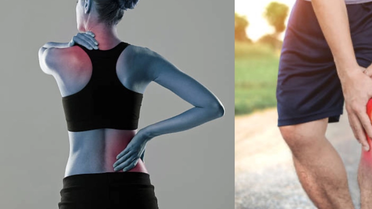 ¿Cómo saber si el dolor es muscular o articular? Consejos clave para identificar su origen y cuándo consultar con un especialista